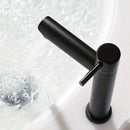 Torneira de Aço Inoxidável para Lavatório de Banheiro